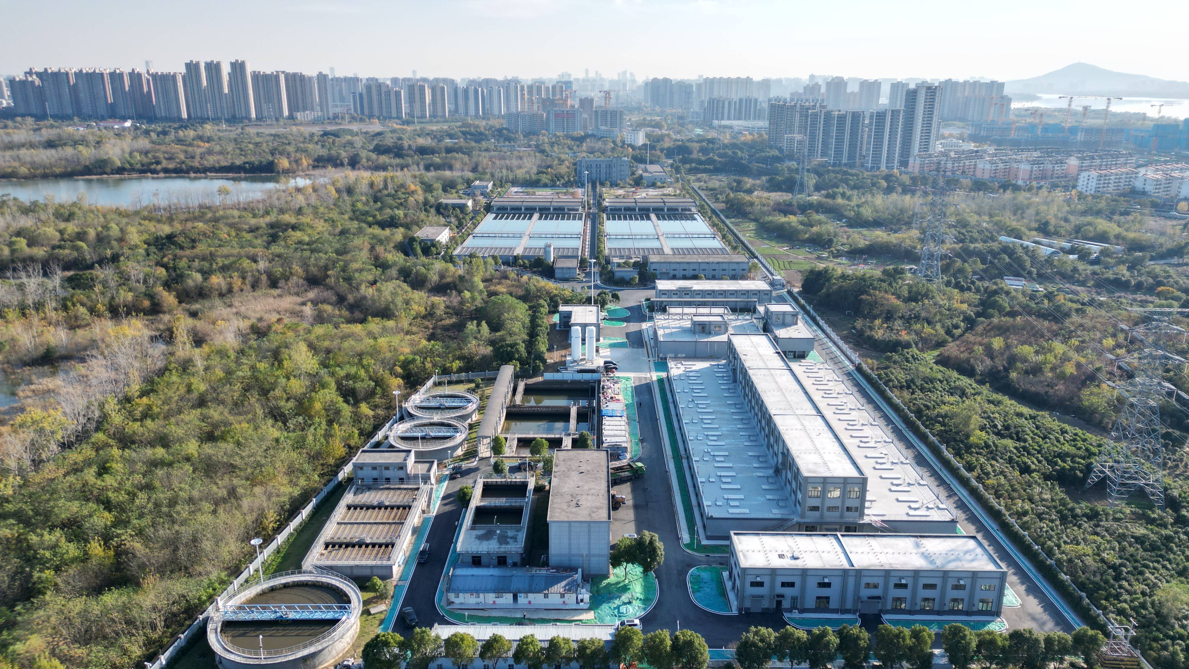 台州市合肥专业企业价值增长(合肥市重点企业产业目录)