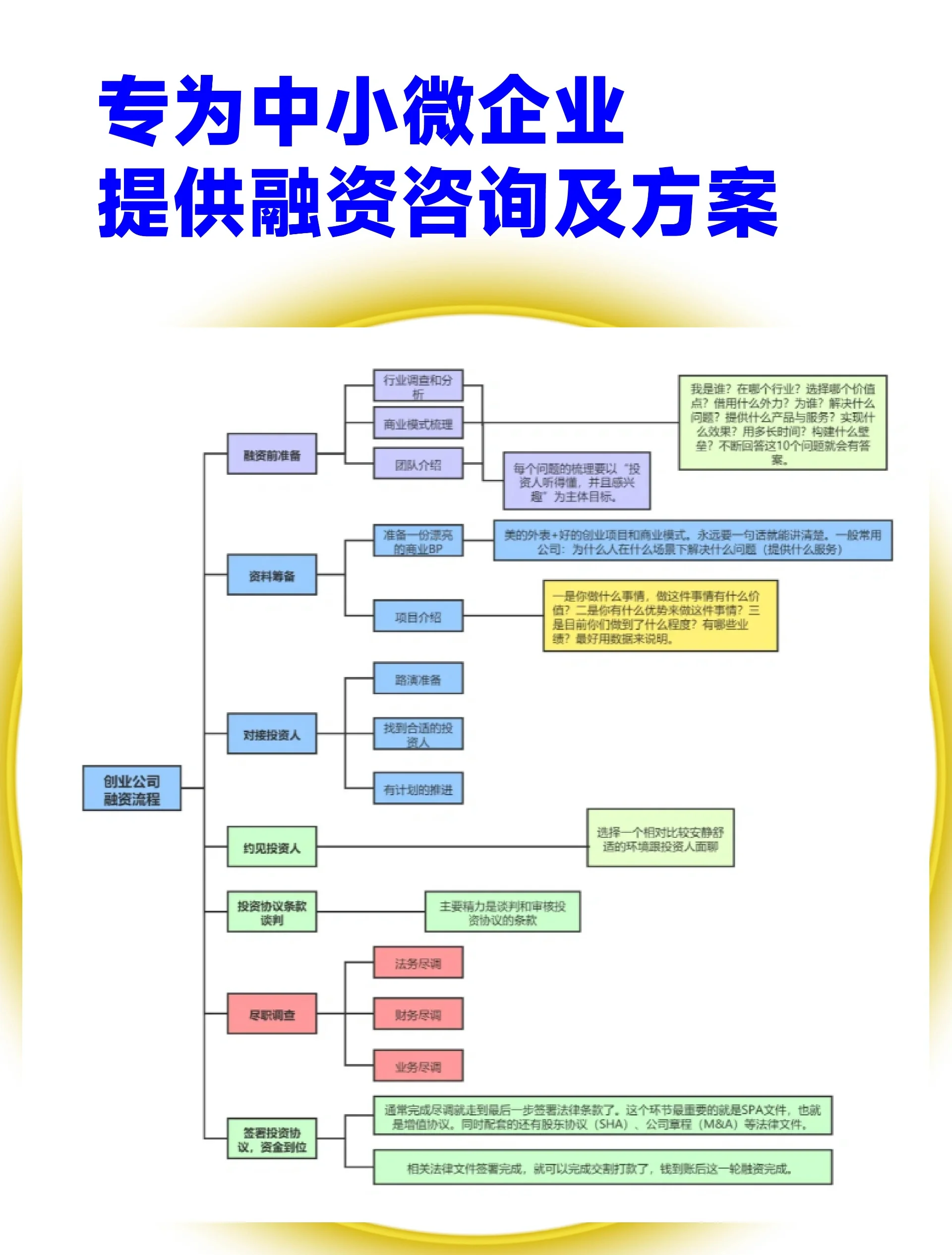 台州市宠物企业资金管理(宠物管理机构叫什么)