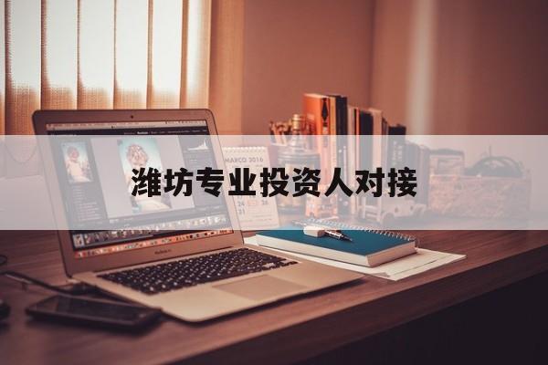 台州市潍坊专业投资人对接(潍坊专业投资人对接中心)